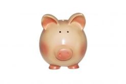 866605_piggy_bank_1